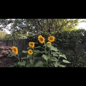 Meet your Posher, Fernanda